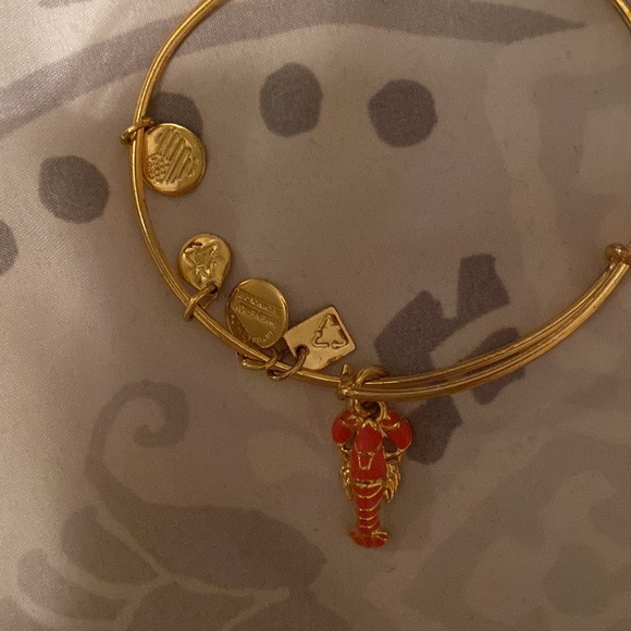 Alex and Ani lobster bracelet - Picture 3 of 3